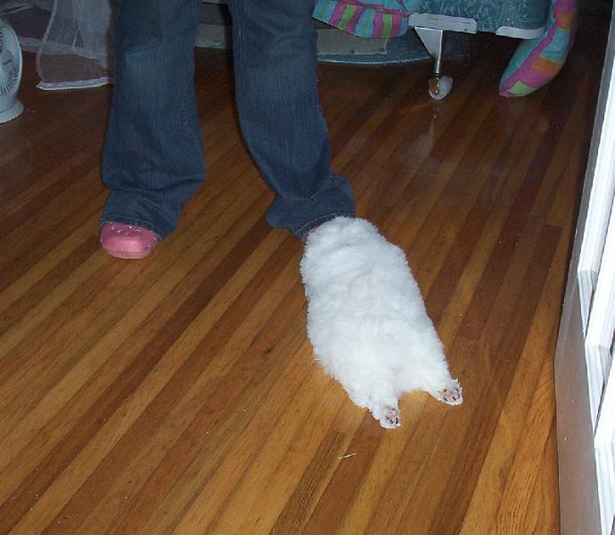 tuffy.jpg